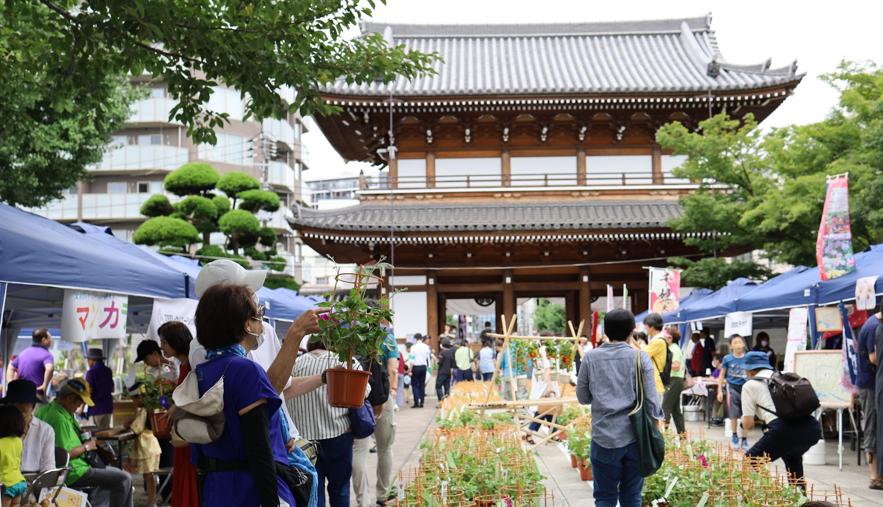 🏯 덴즈인 (伝通院) 이미지 9